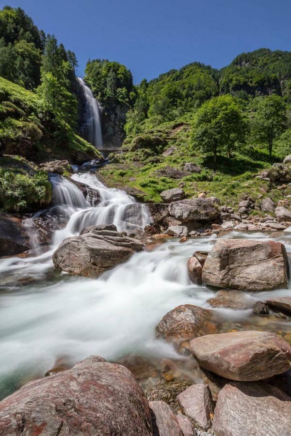 Appartamento ai Ronchi Gordola Esterno foto